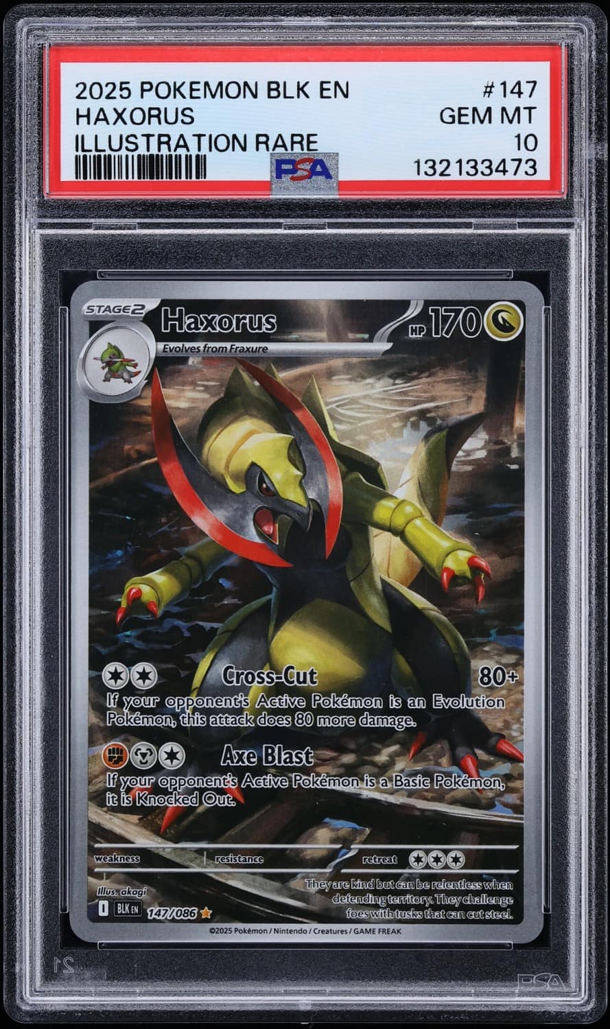 Haxorus