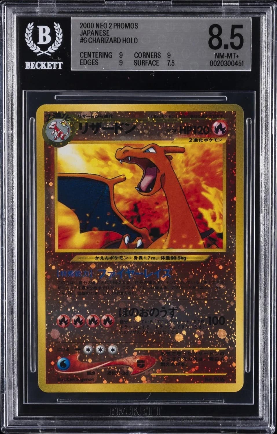 Charizard Holo/(premium File 2)