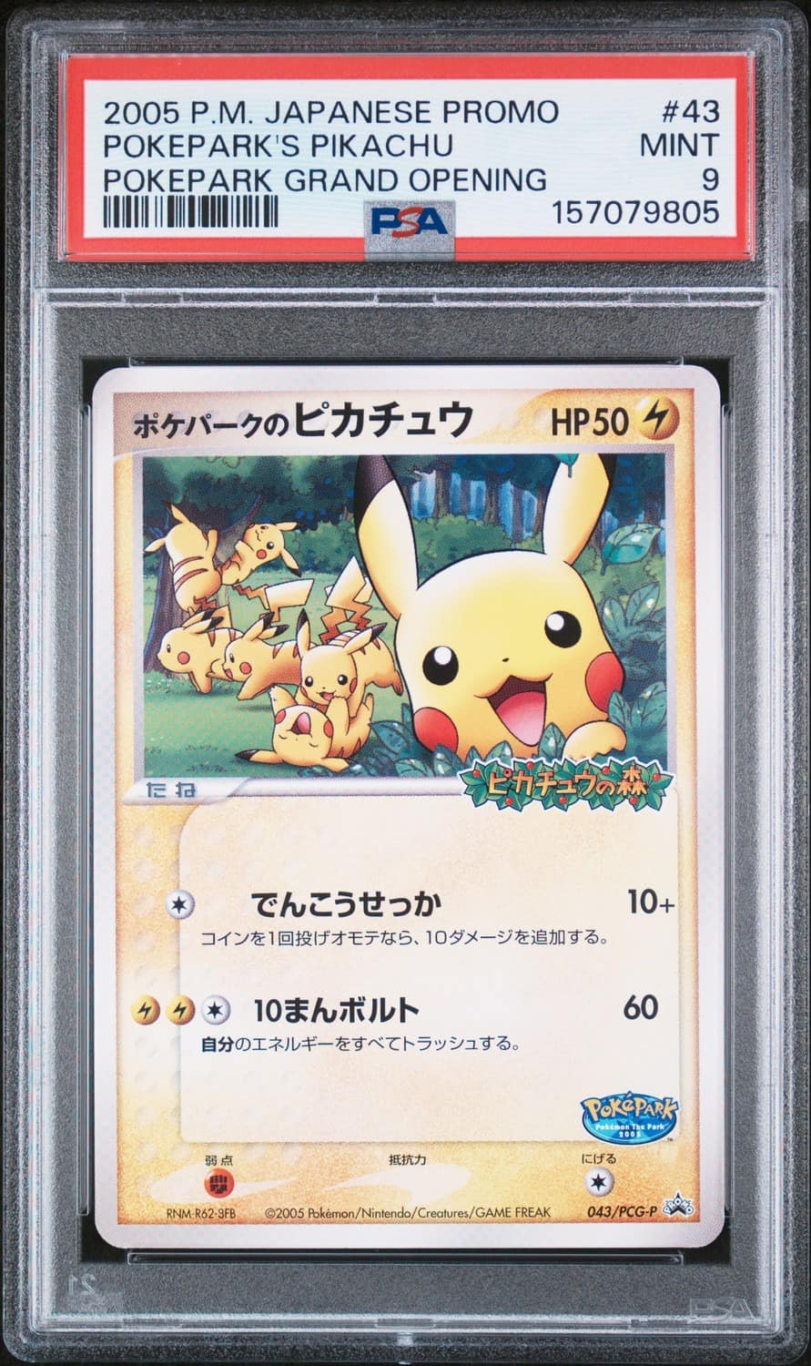 Pokepark'S Pikachu