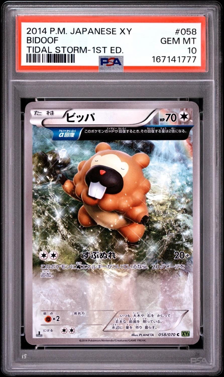 Bidoof