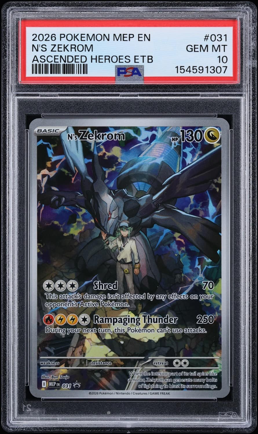N'S Zekrom