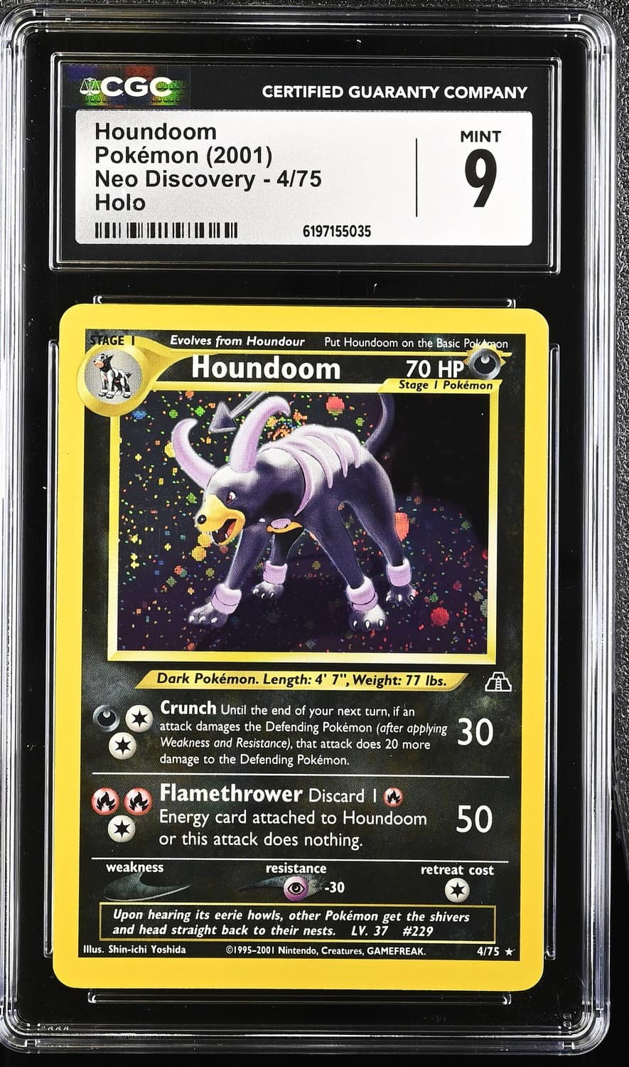 Houndoom