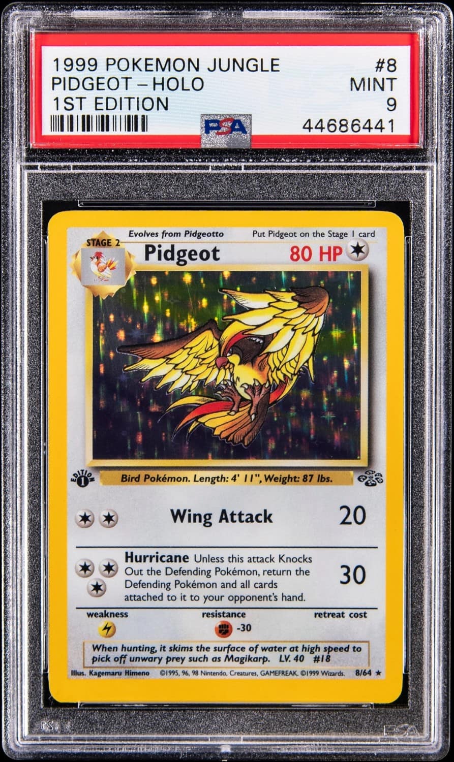 Pidgeot
