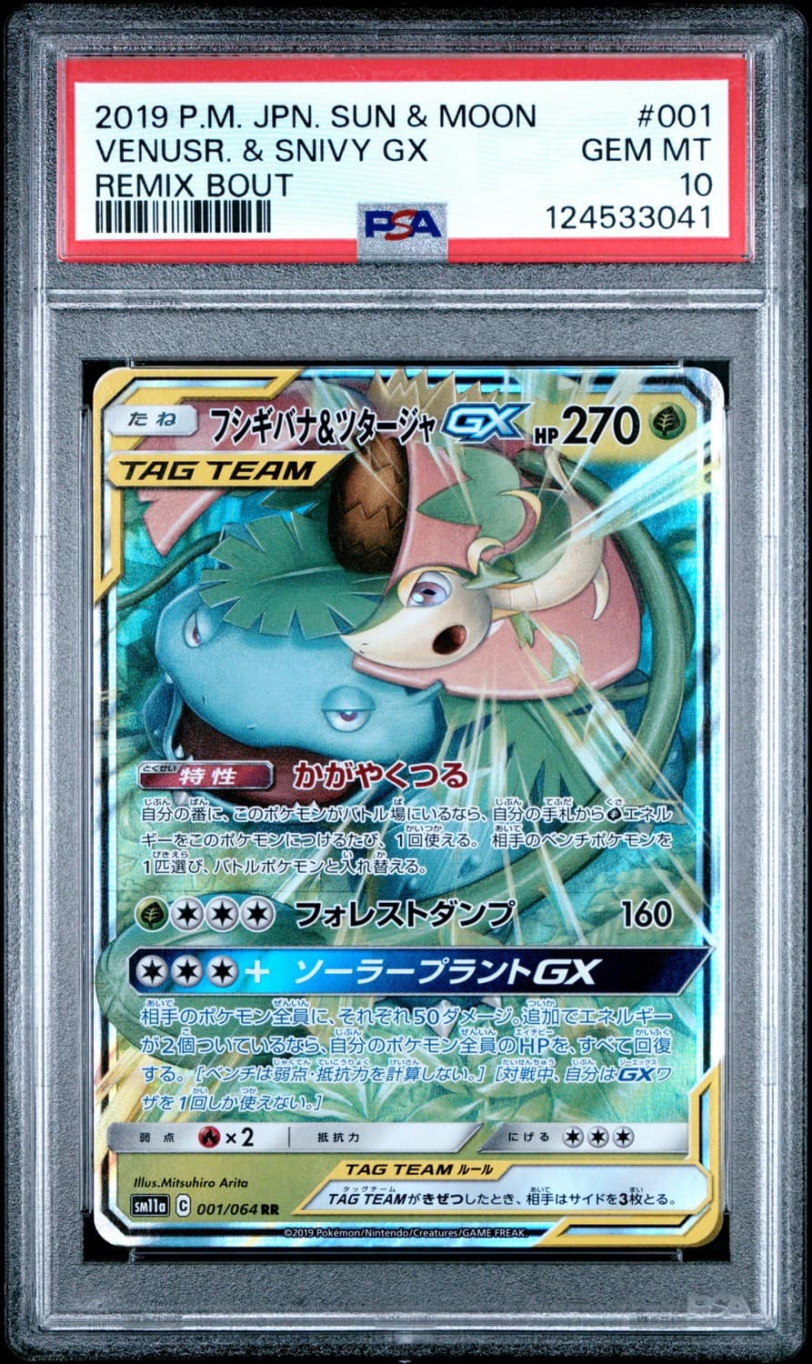 Venusaur & Snivy Gx