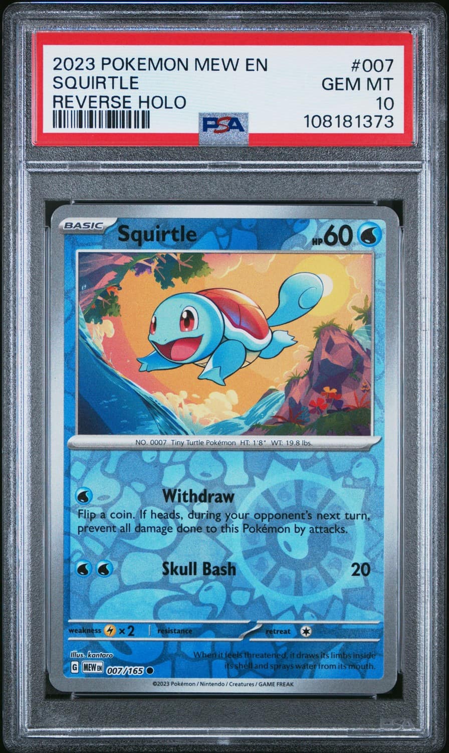 Squirtle