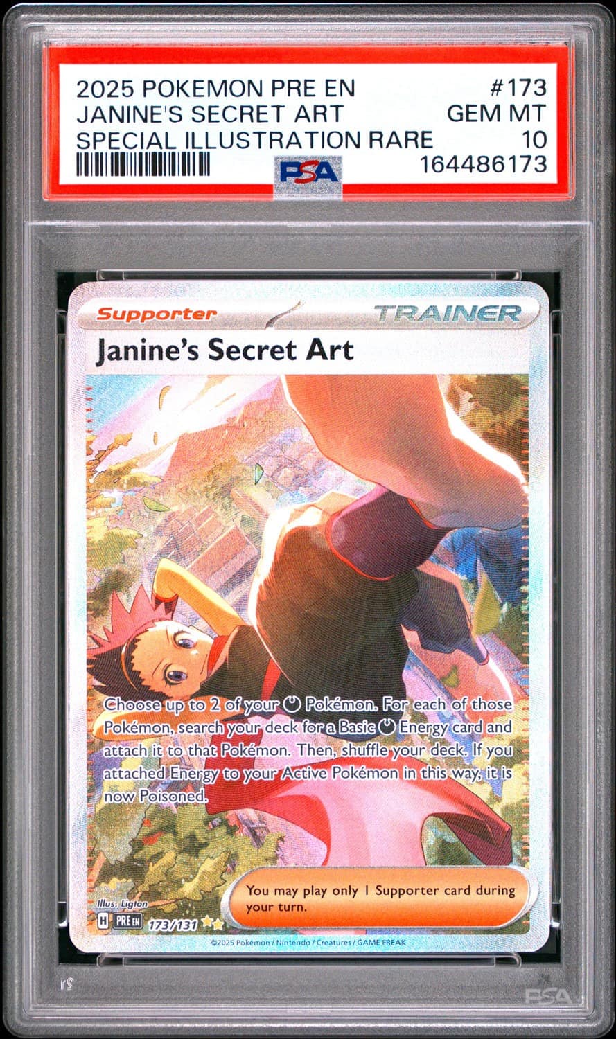 Janine'S Secret Art
