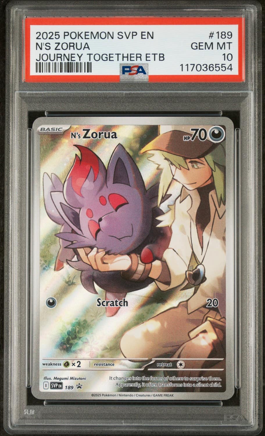 N'S Zorua