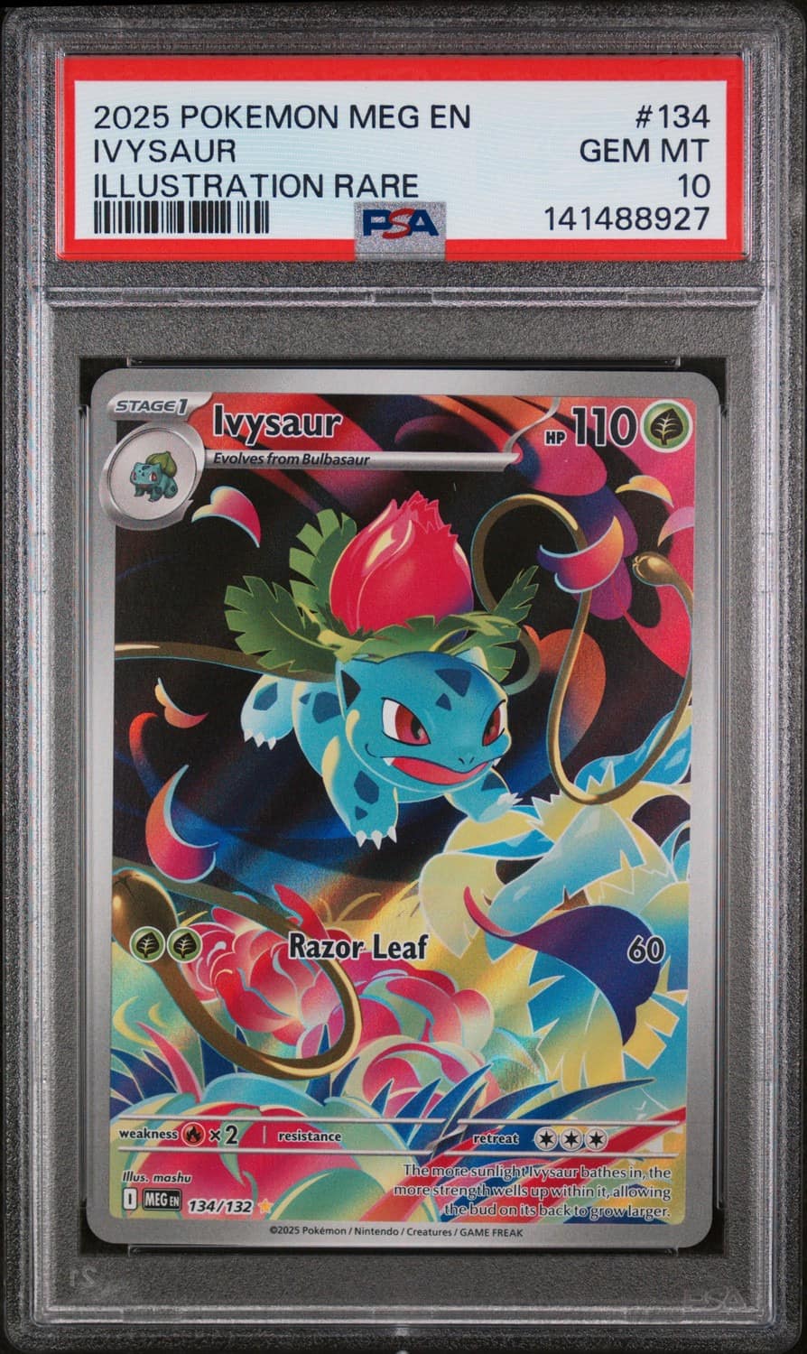 Ivysaur