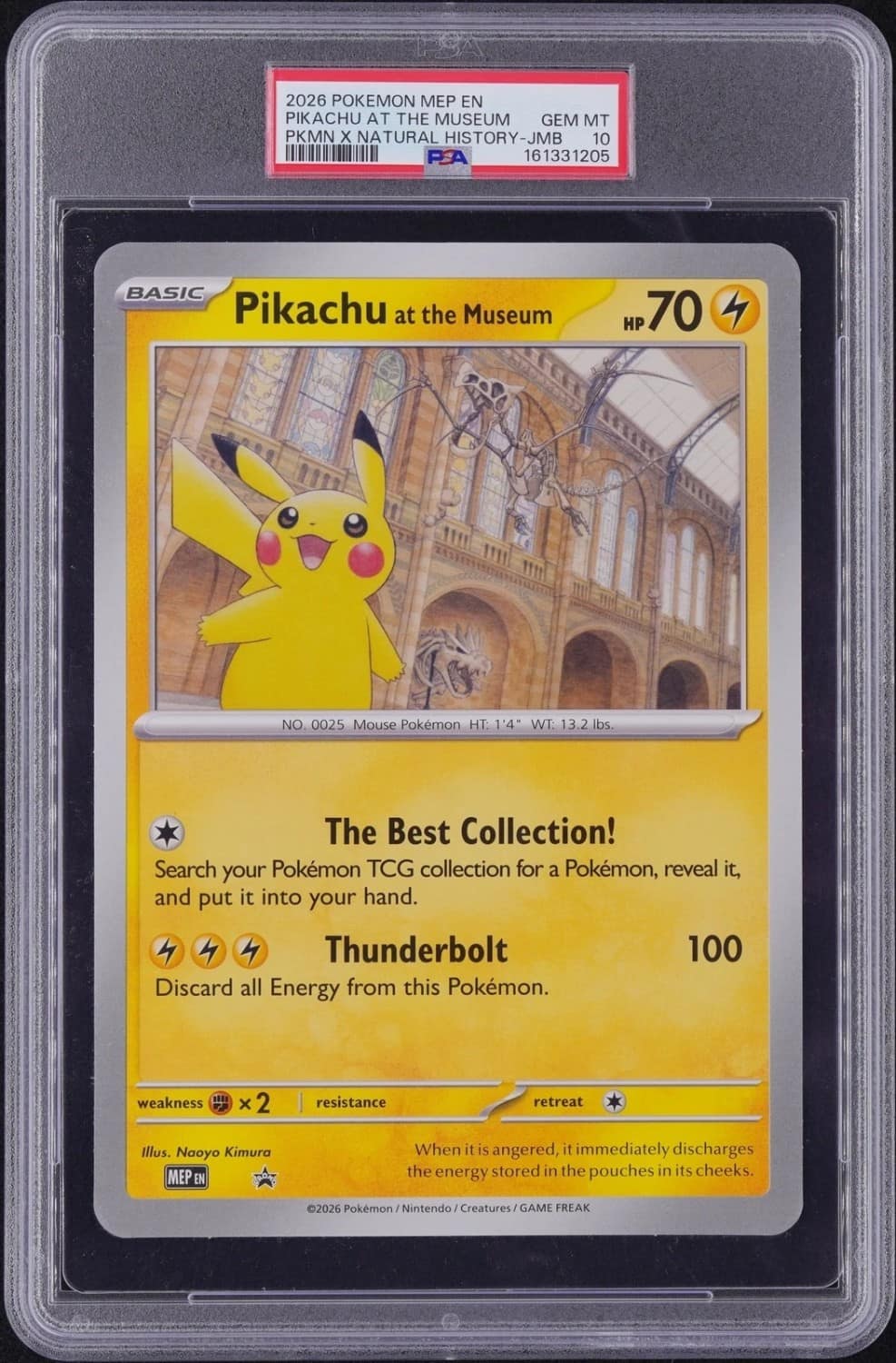 Pikachu At The Museum
