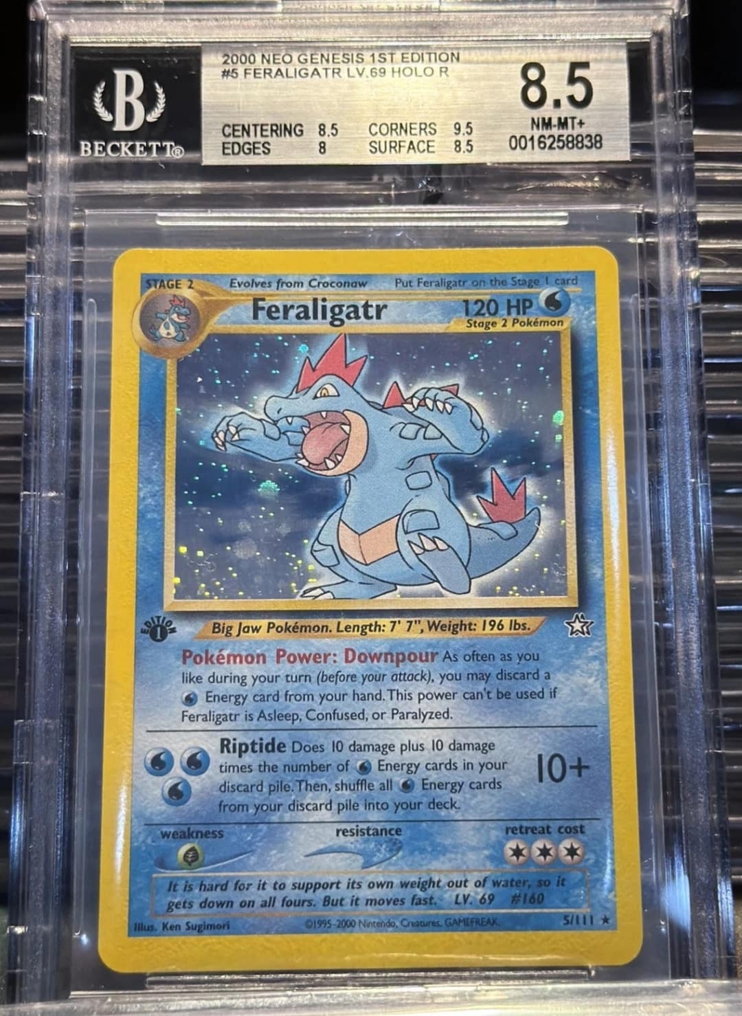 Feraligatr