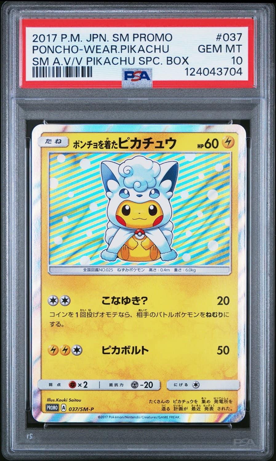 Poncho-Wearing Pikachu