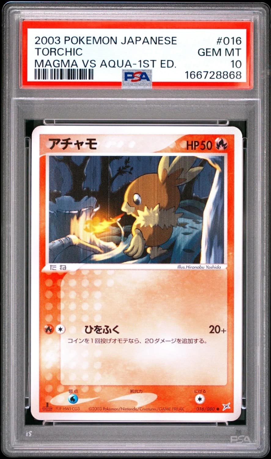 Torchic