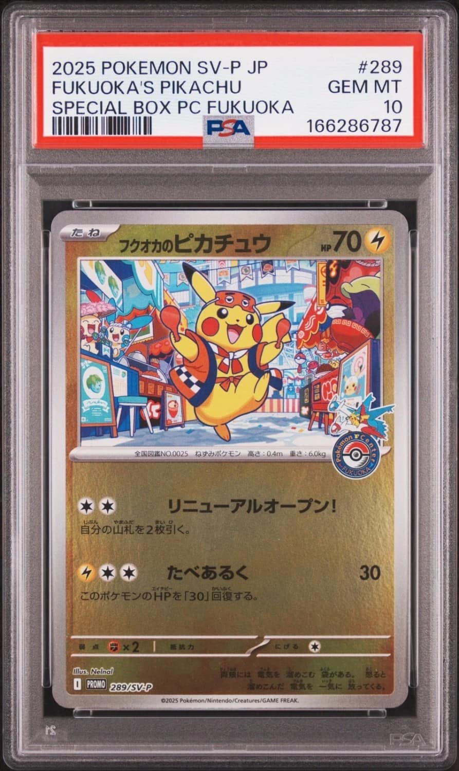Fukuoka'S Pikachu