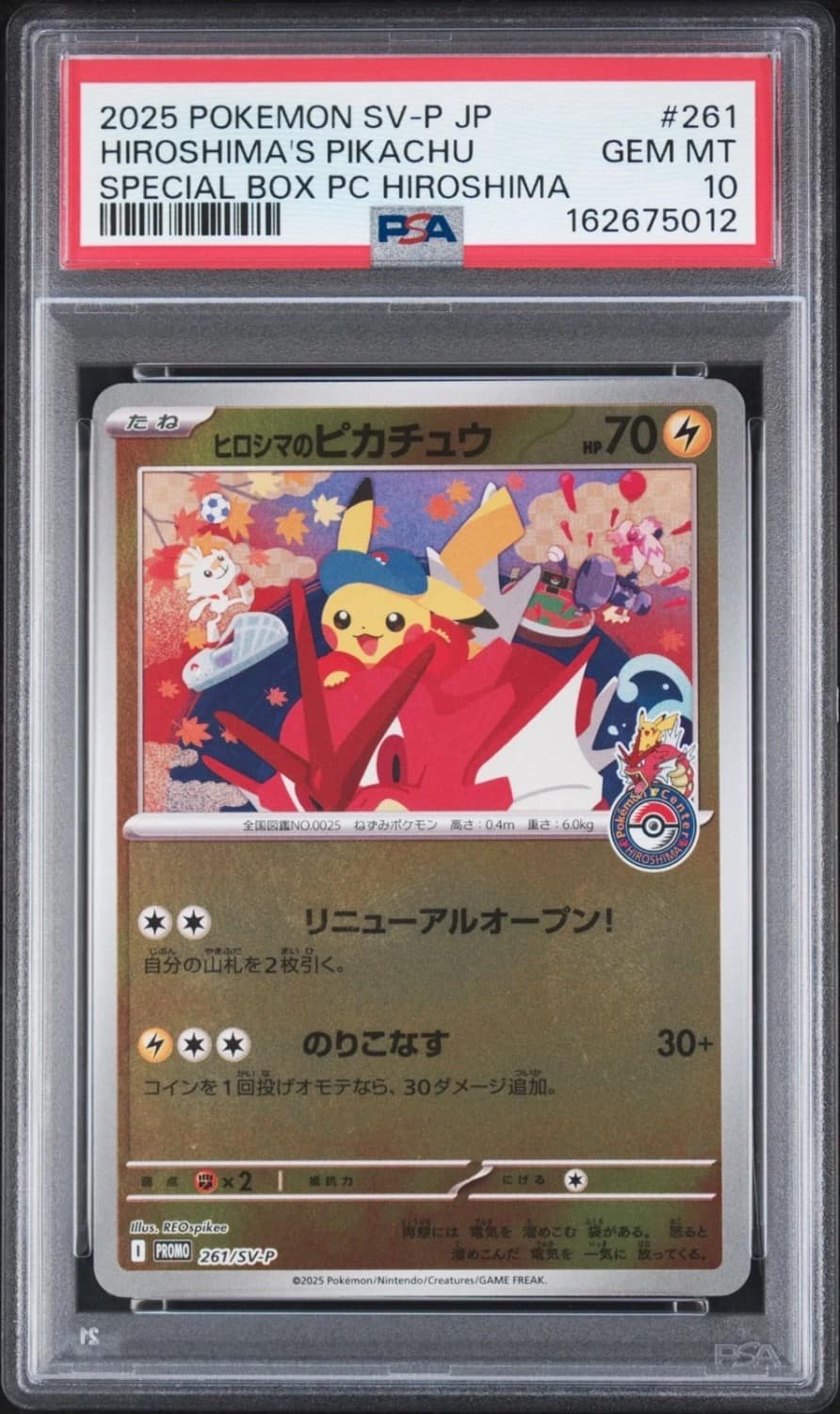 Hiroshima'S Pikachu