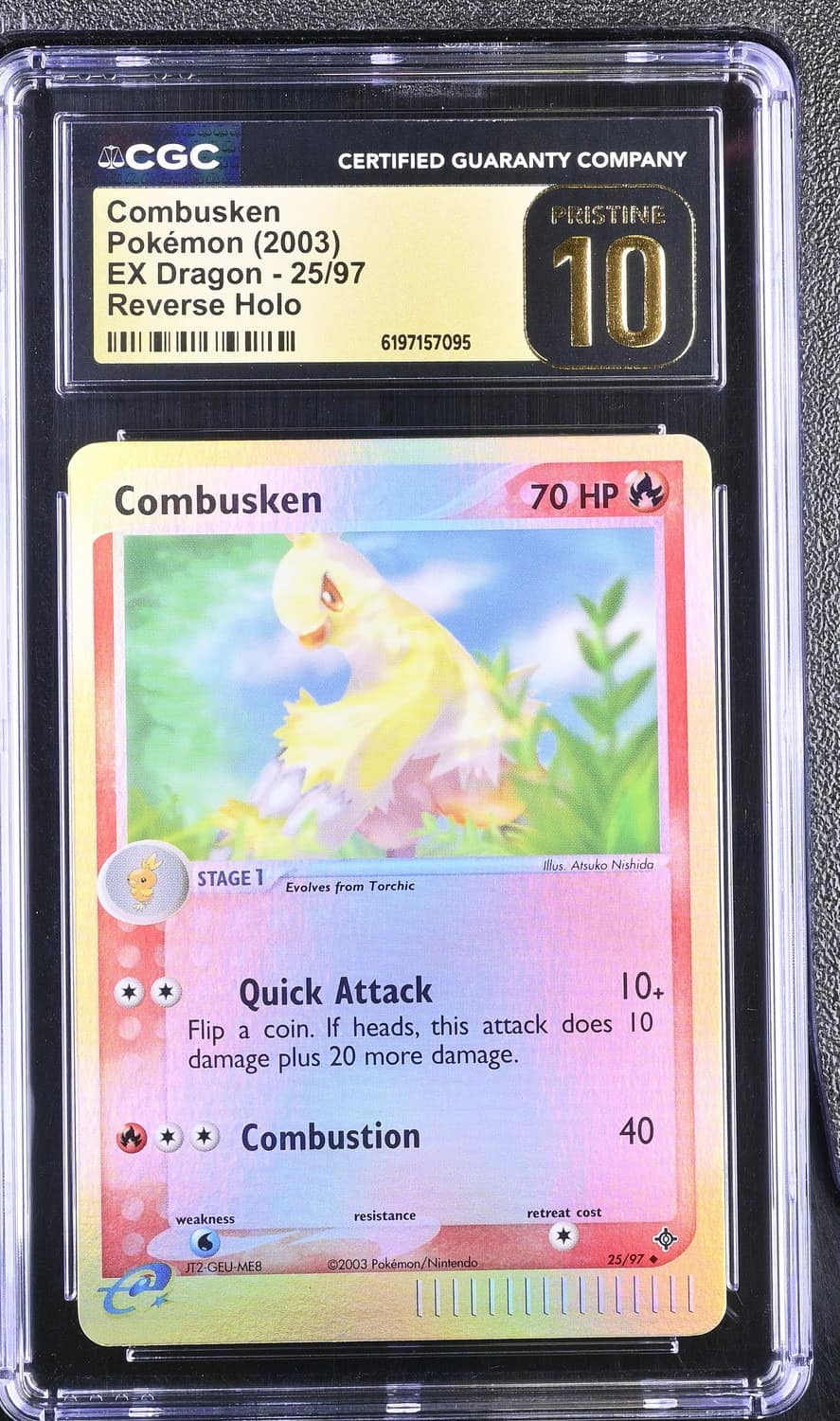 Combusken