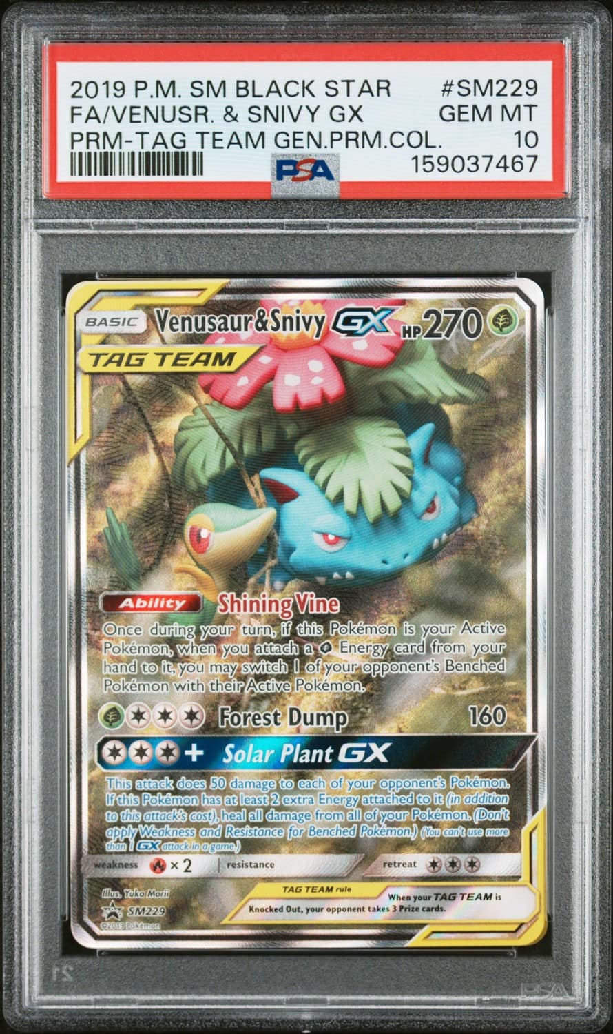 Venusaur & Snivy Gx