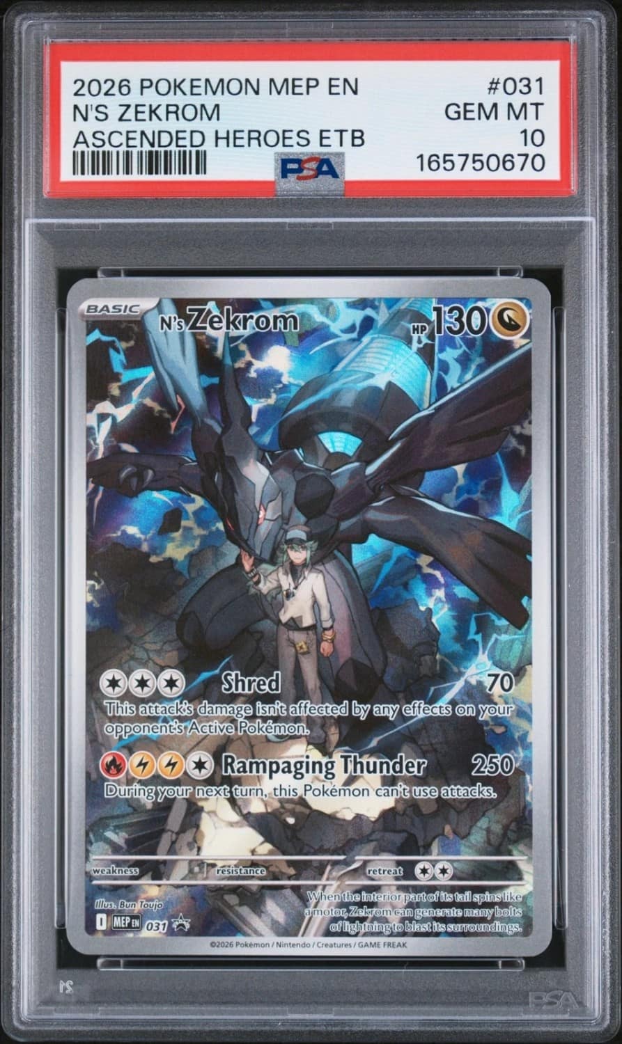 N'S Zekrom