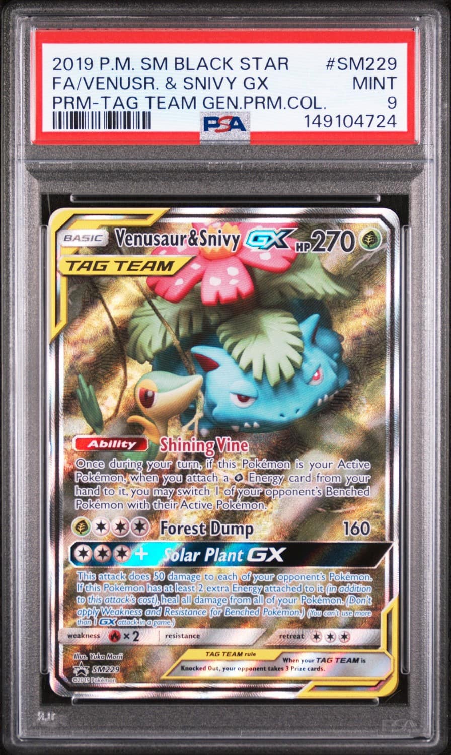 Venusaur & Snivy Gx