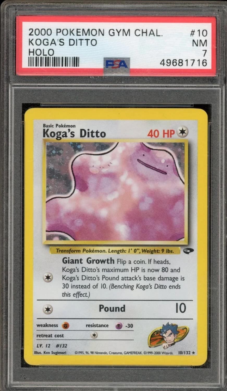 Koga'S Ditto