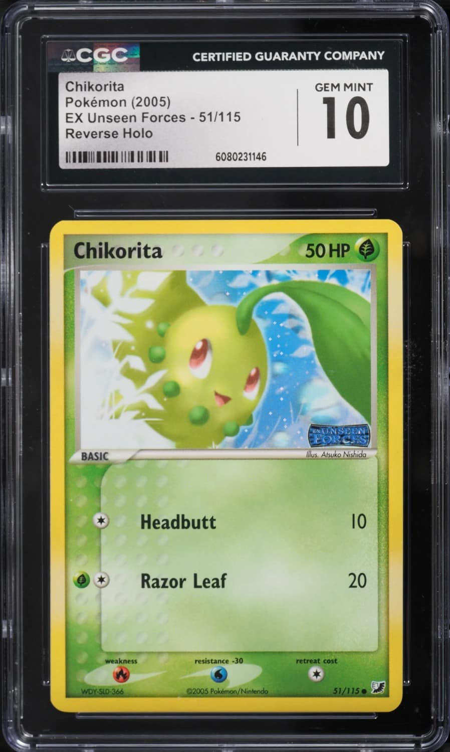 Chikorita