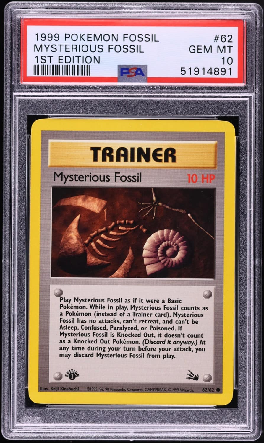 Mysterious Fossil
