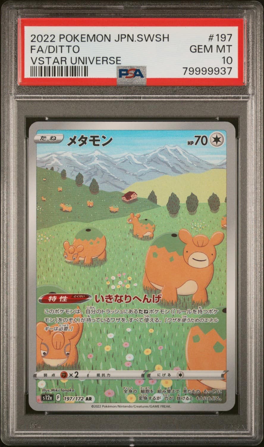 Ditto