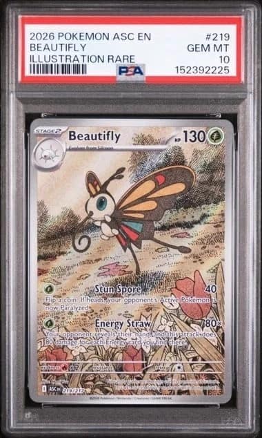 Beautifly