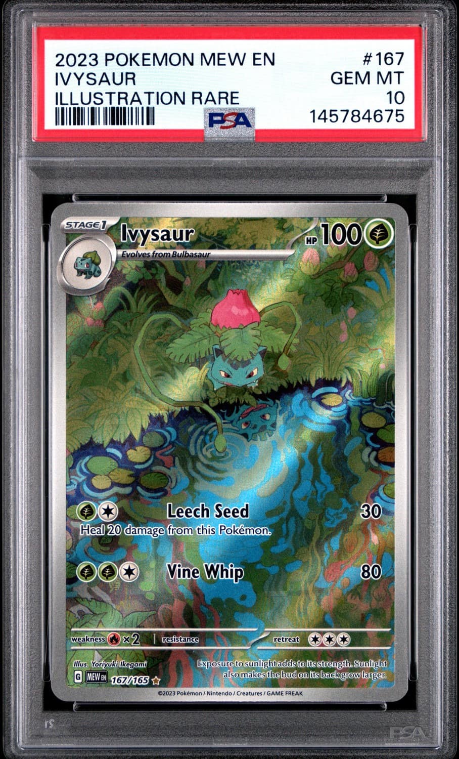 Ivysaur