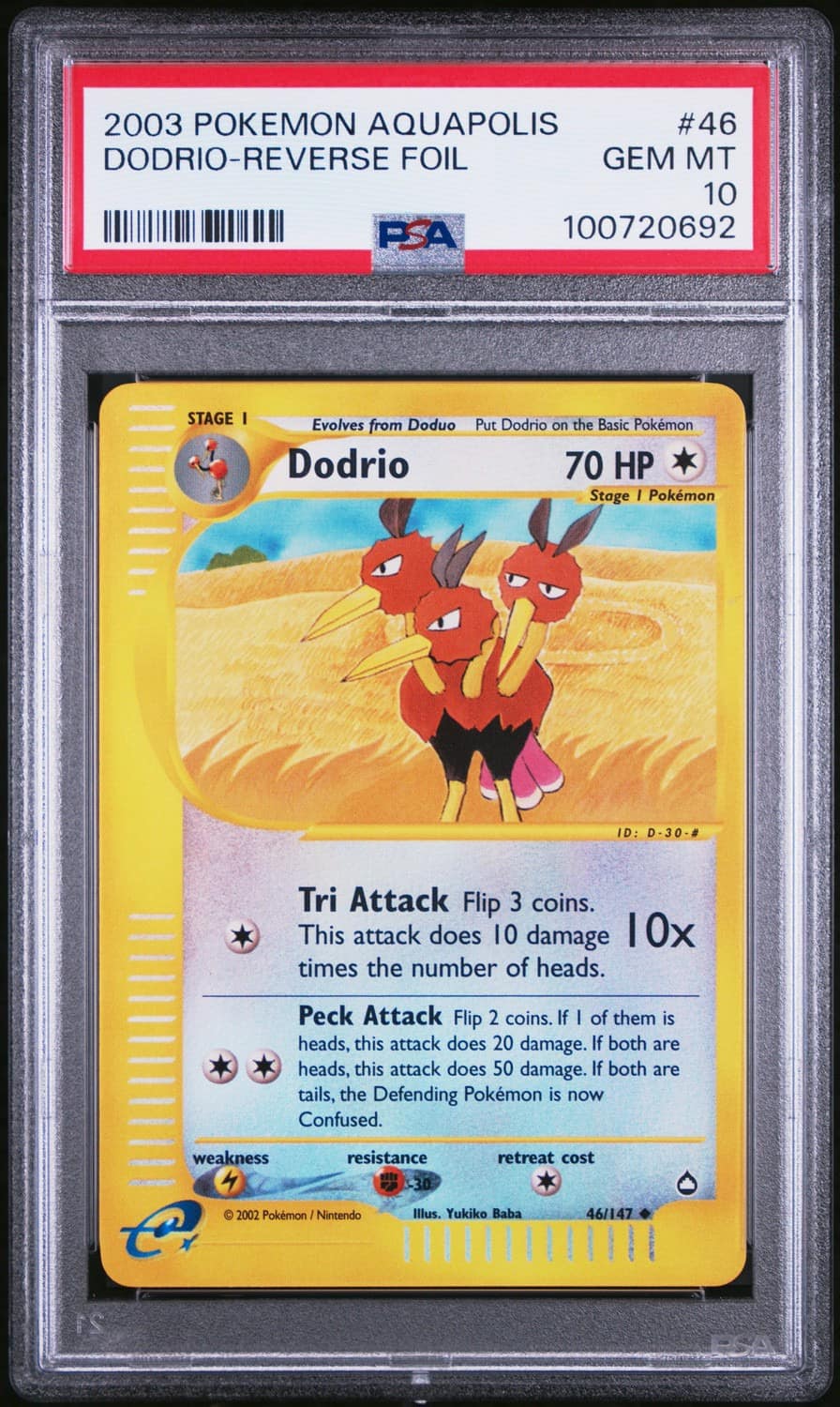 Dodrio