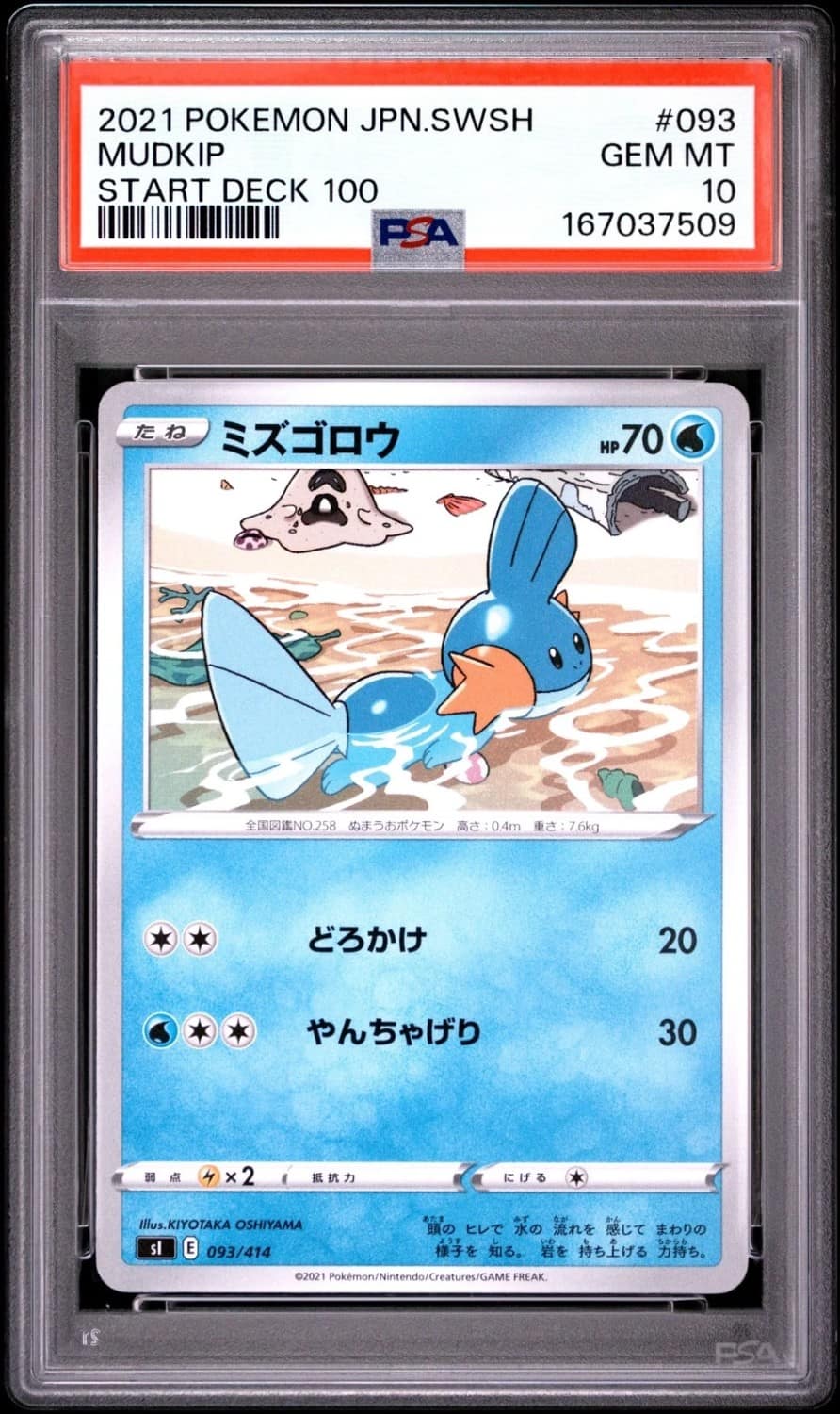 Mudkip