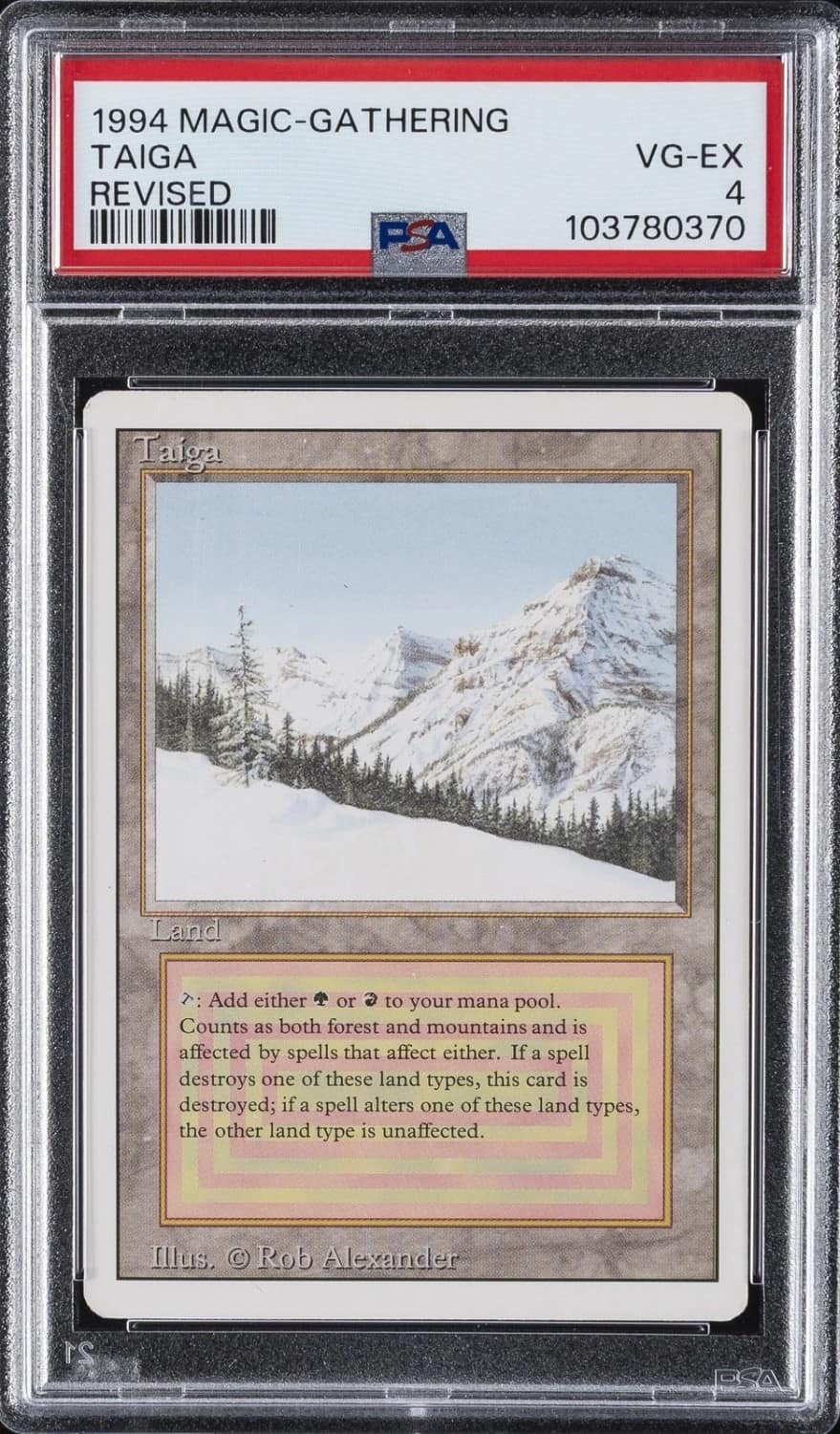 Taiga