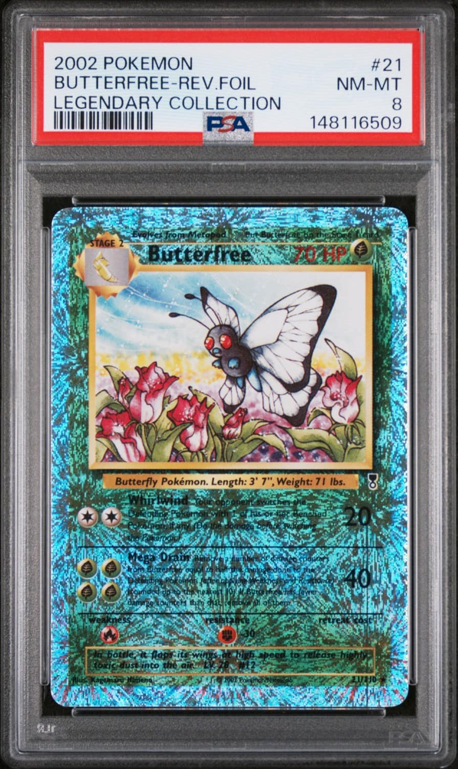 Butterfree