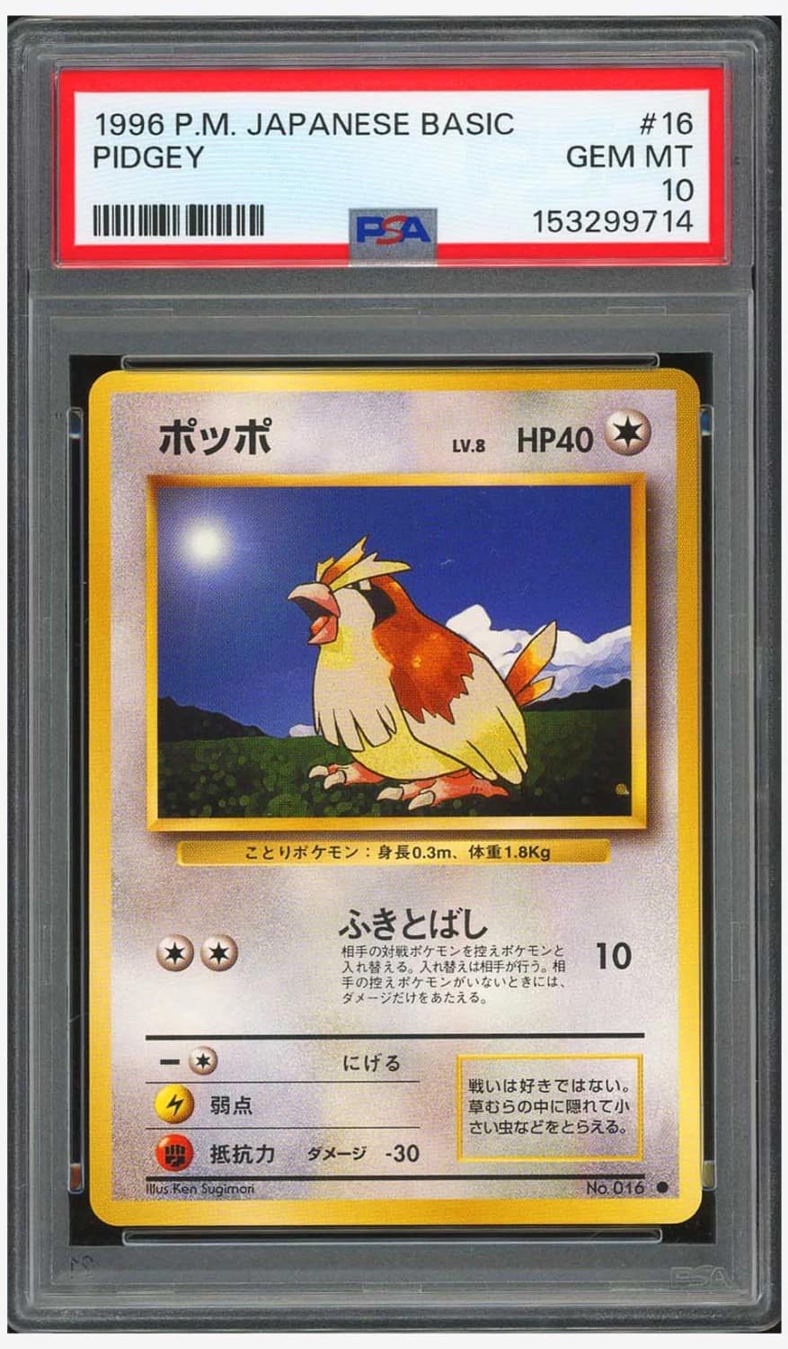 Pidgey