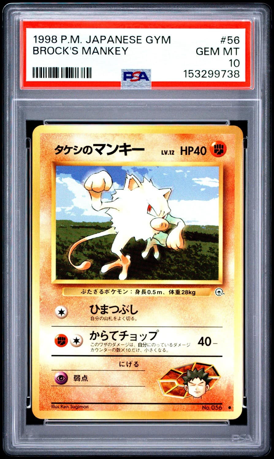 Brock'S Mankey