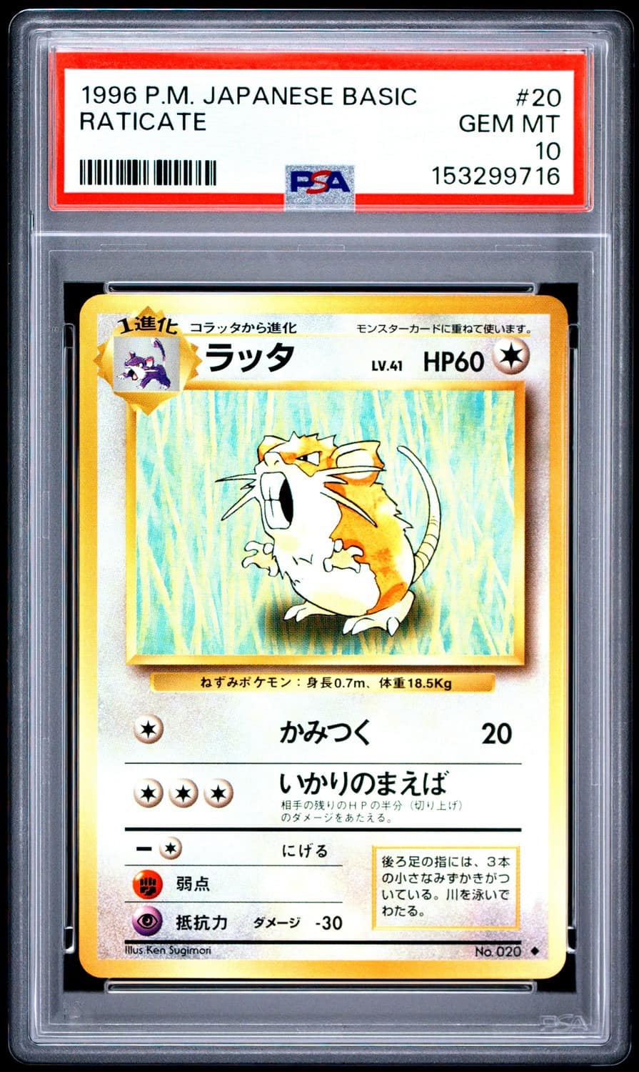 Raticate