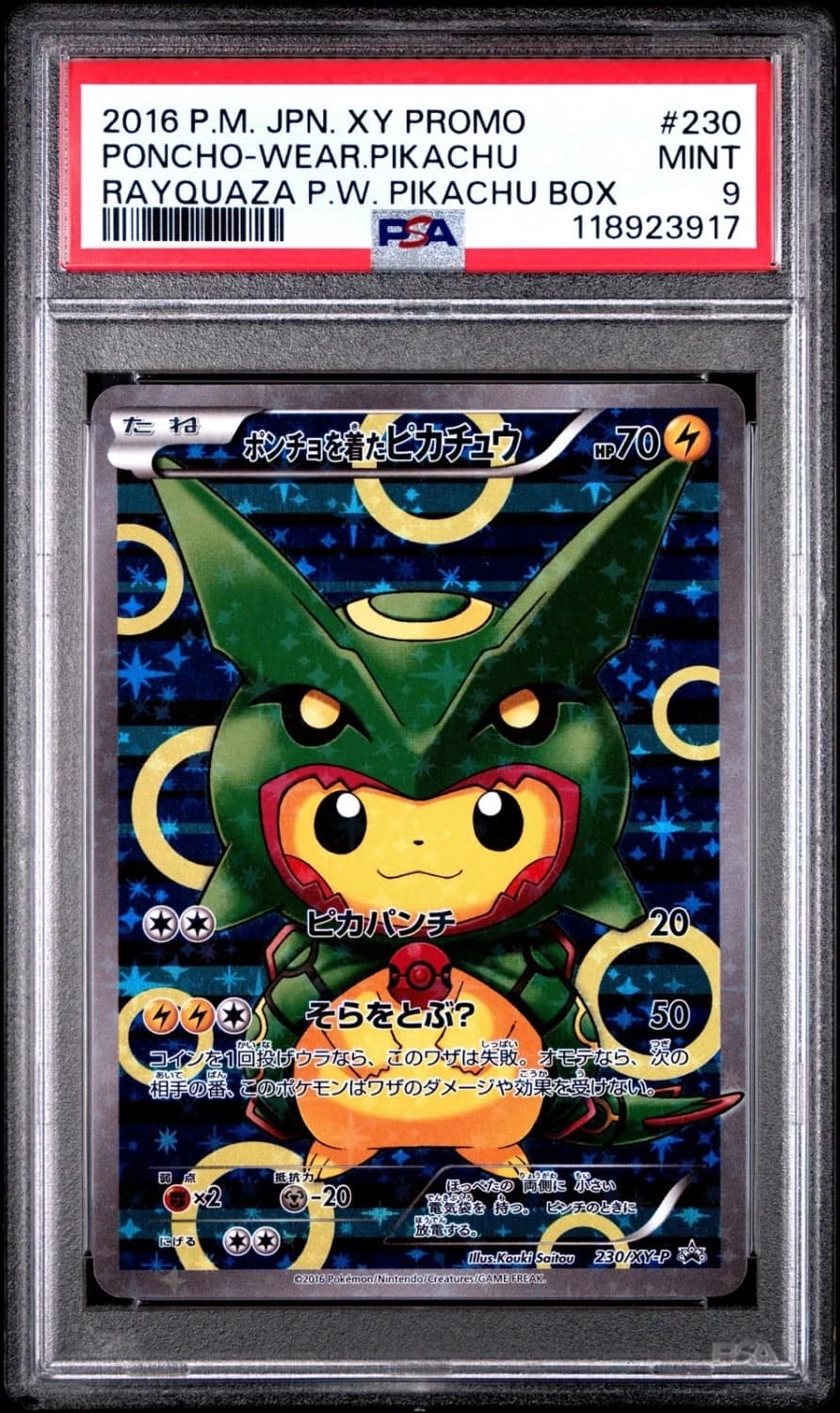 Poncho-Wearing Pikachu