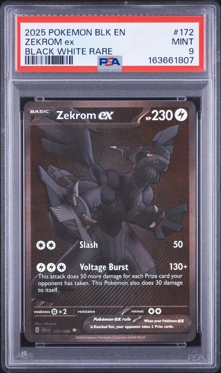 Zekrom Ex