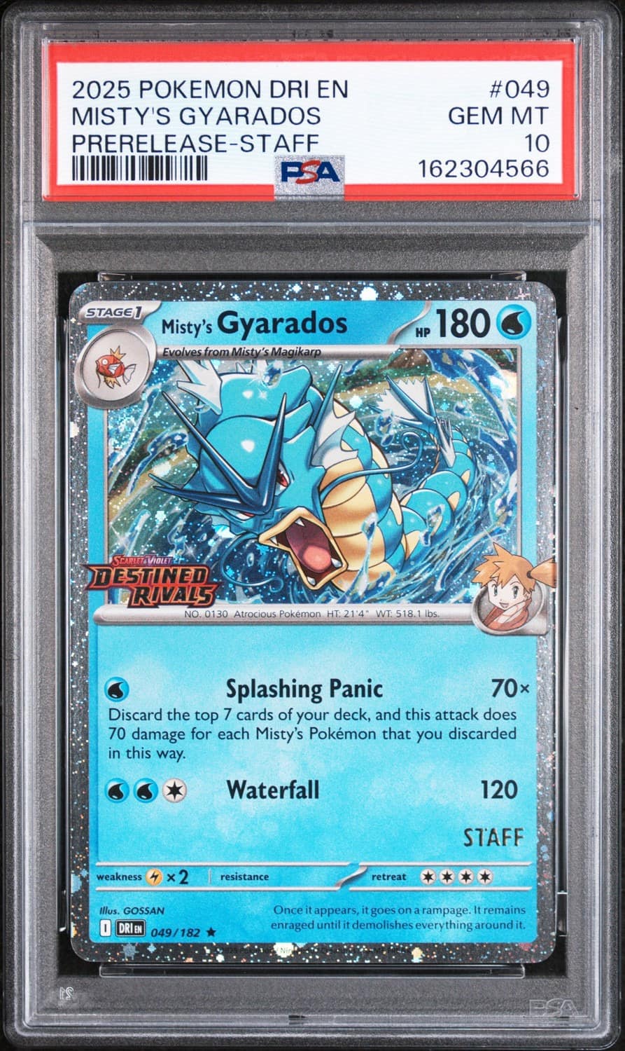 Misty'S Gyarados