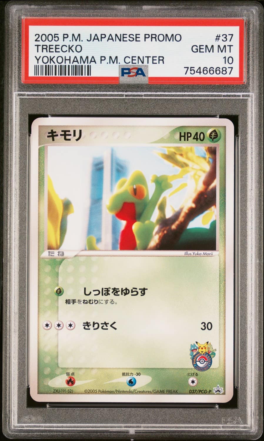 Treecko