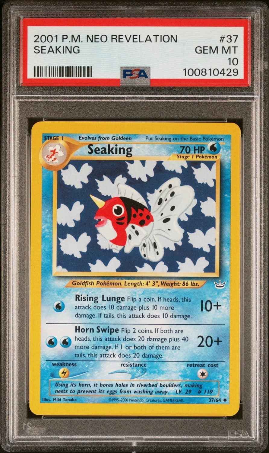 Seaking