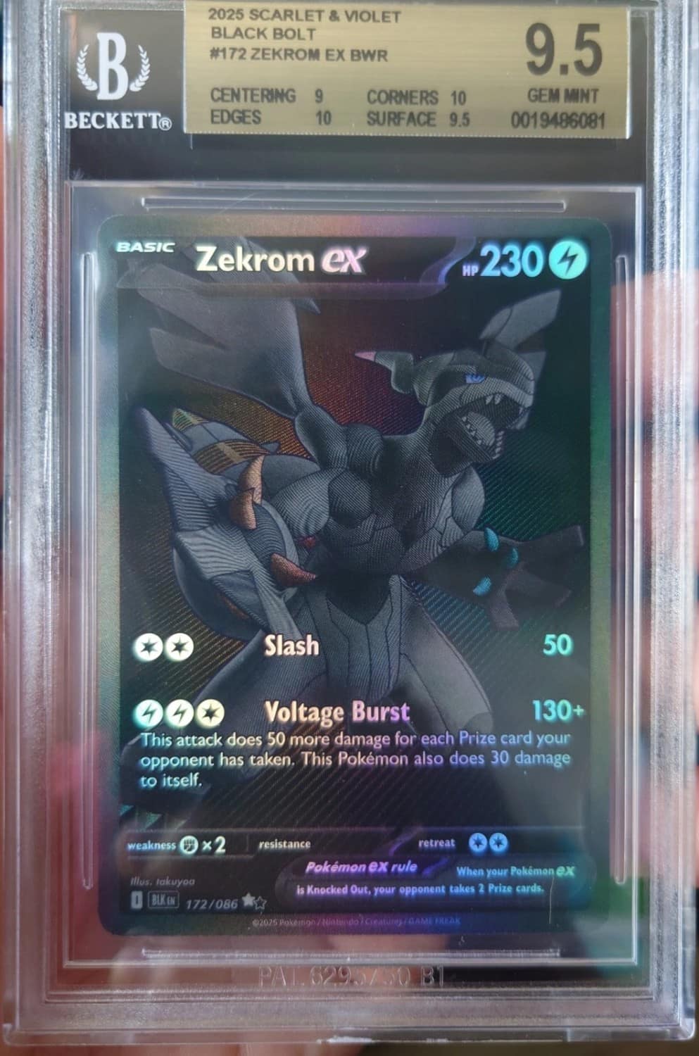 Zekrom Ex