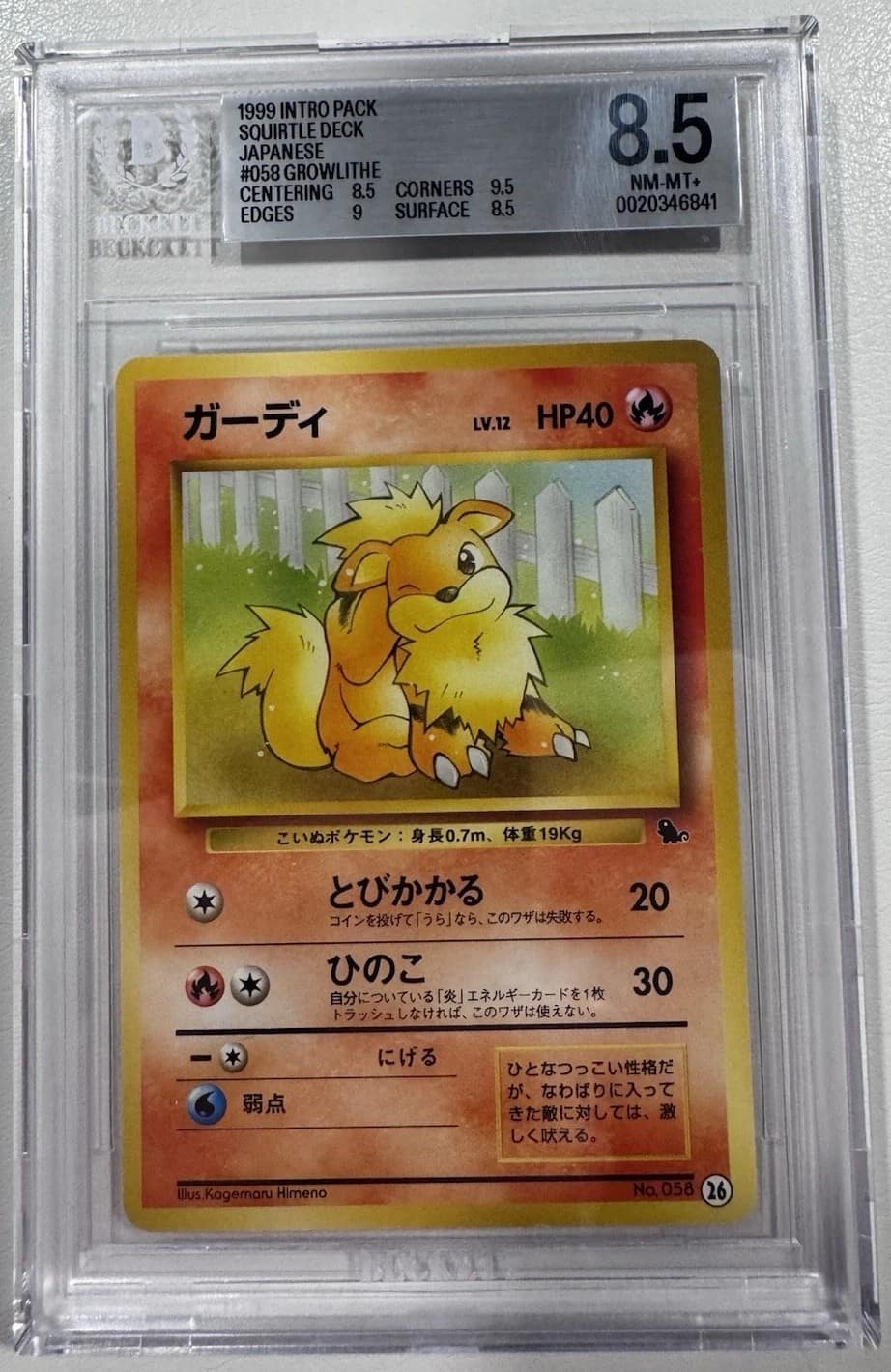 Growlithe (26)