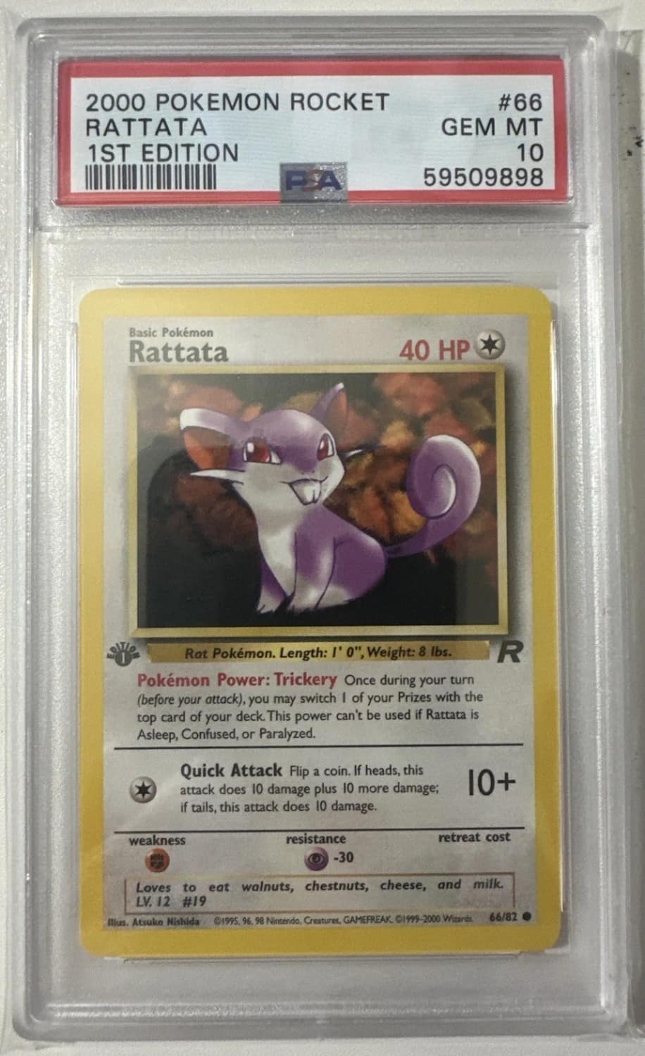 Rattata
