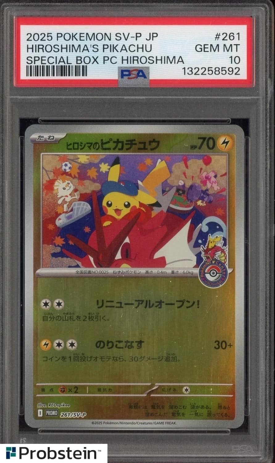 Hiroshima'S Pikachu