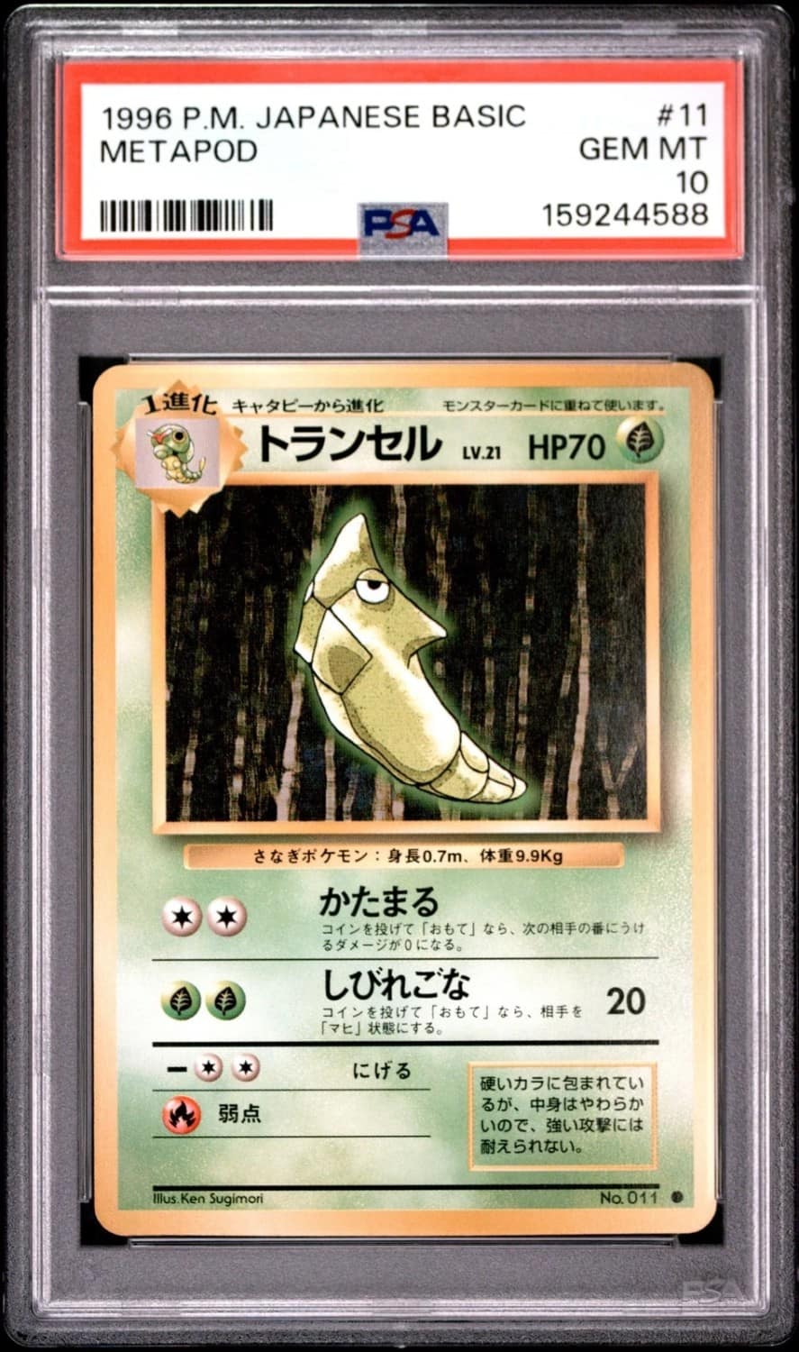 Metapod