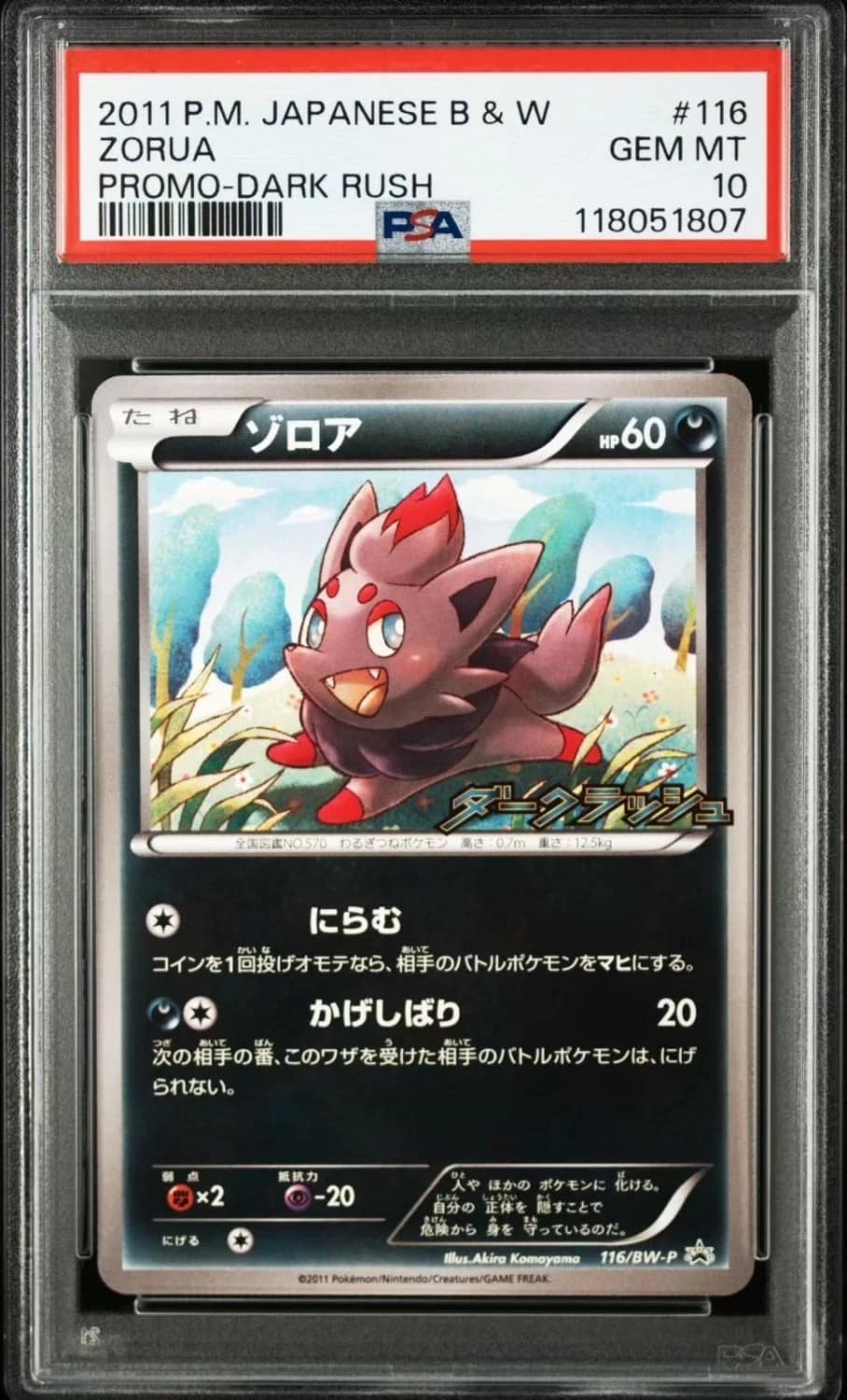 Zorua