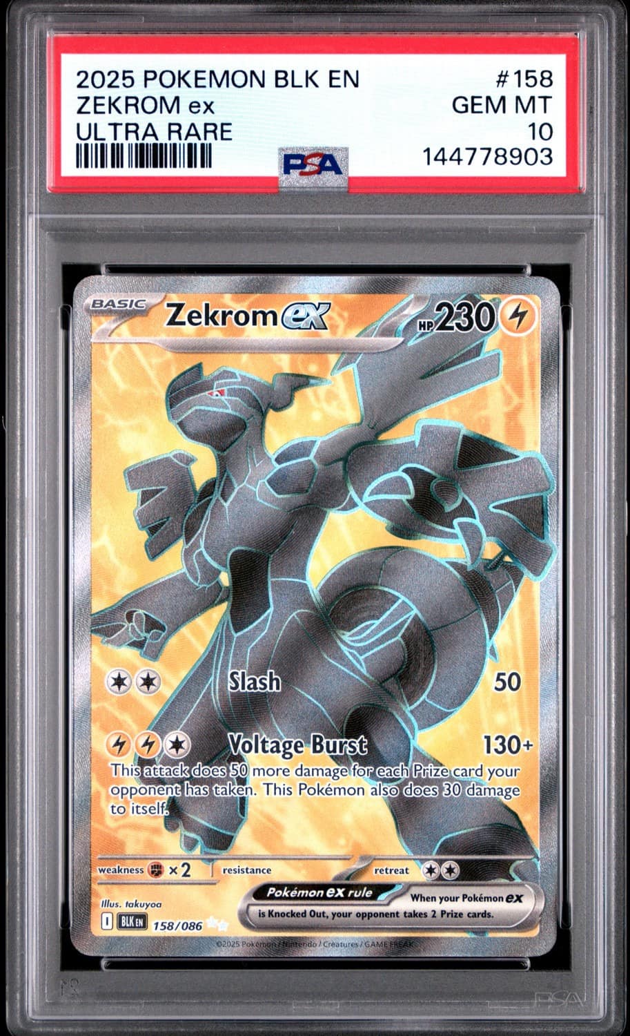 Zekrom Ex