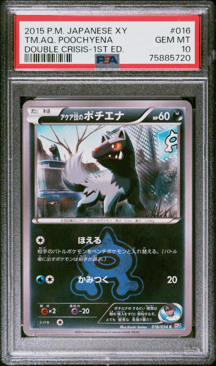 Tm.aq. Poochyena