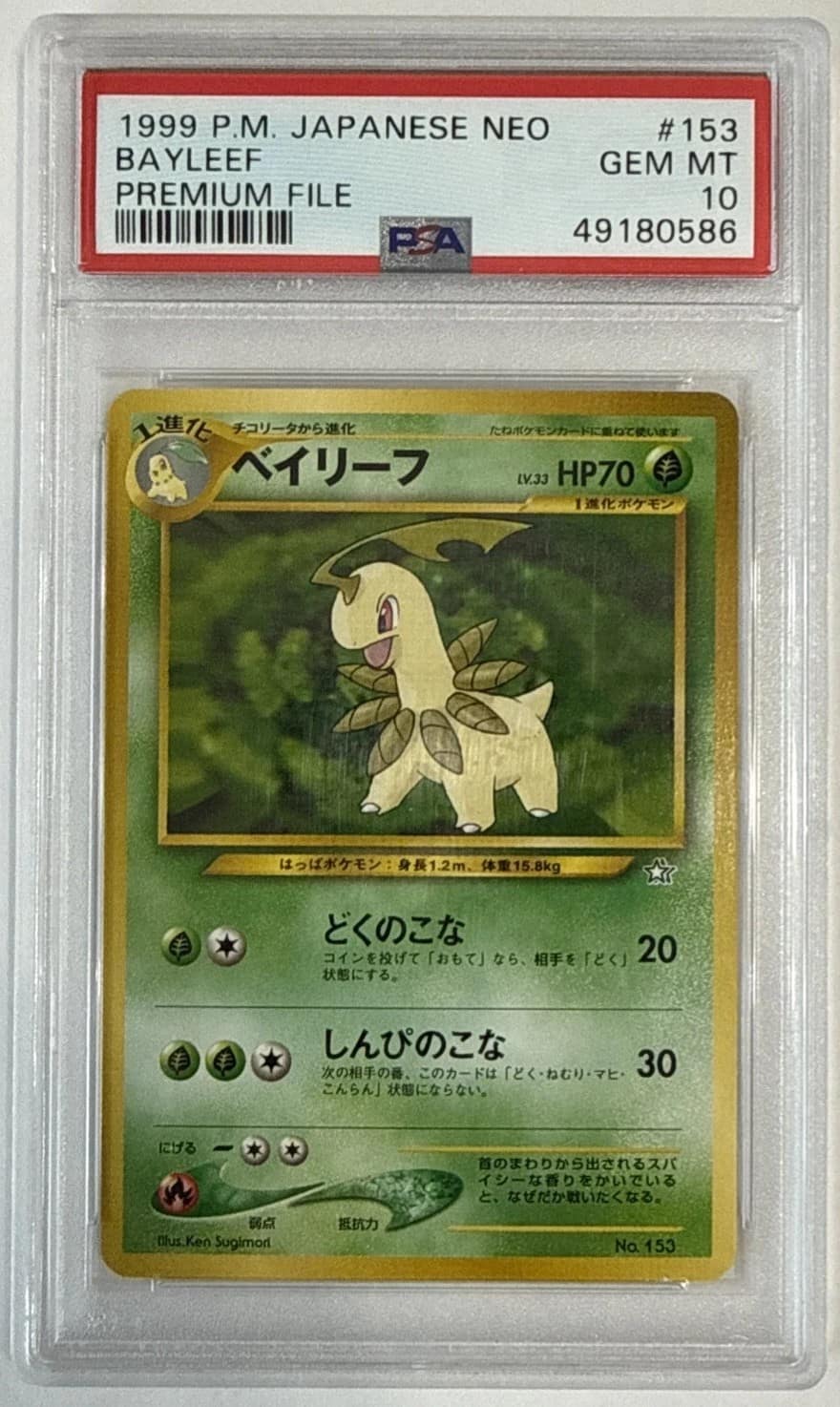 Bayleef