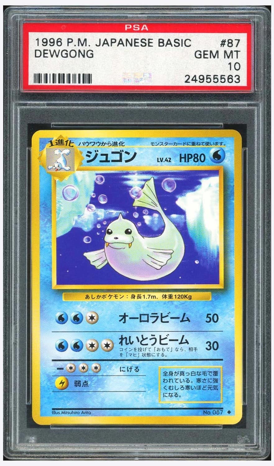 Dewgong